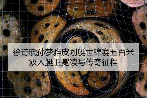 xu-shi-xiao-sun-meng-ya-pi-hua-ting-shi-jin-sai-wu-bai-mi-shuang-ren-ting-wei-mian-xu-xie-chuan-qi-zheng-cheng-3-992.jpg